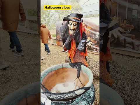 #2025 #halloween #farm #pumpkin