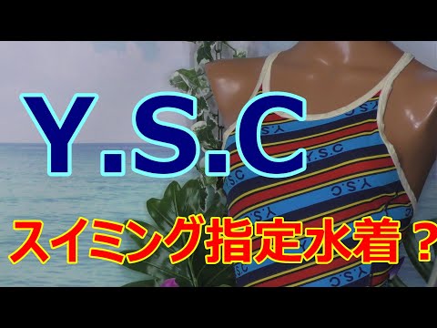 Y.S.C スイミング指定水着? L