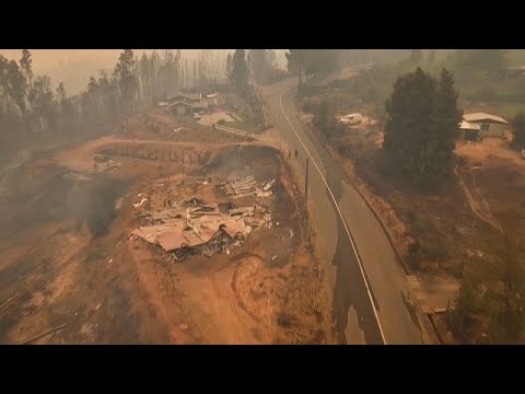 16 قتيلا في أكثر من مئتي حريق غابات في تشيلي