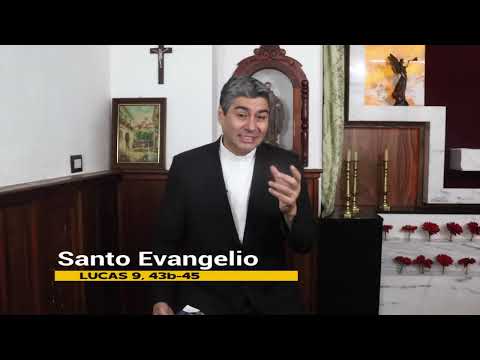 Evangelio 28 de Septiembre 2024