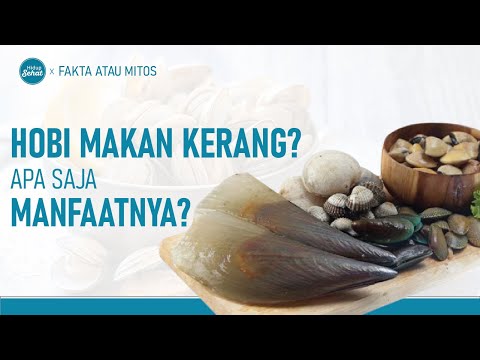 Kaya Lemak Omega Ini Segudang Rahasia Kerang Tvone