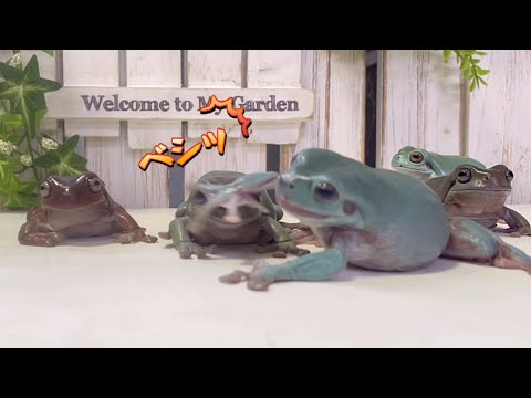 カエルにごはんをあげようと思ったらこうなったw