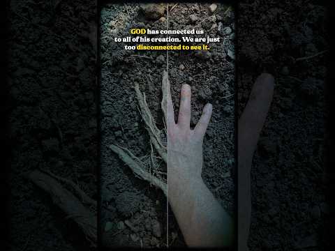 We are all connected