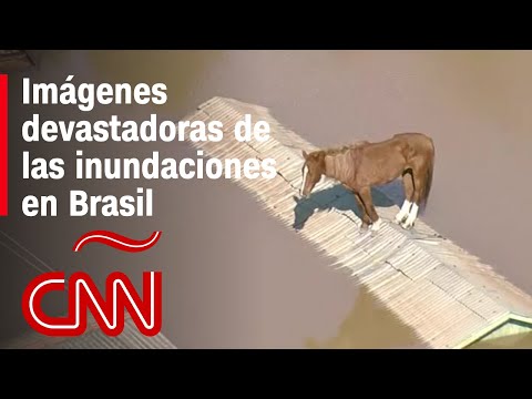 Lo más impactante de las inundaciones en Brasil: un caballo en el techo, la “ciudad fantasma” y más