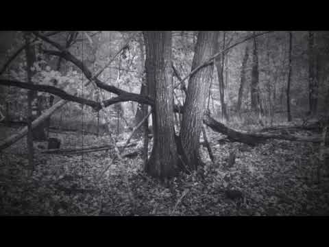 "SPECIAL OPS SOLDIER hasTERRIFYING GOATMAN Encounter!!" True GoatMan STORIES! Crypto PTSD