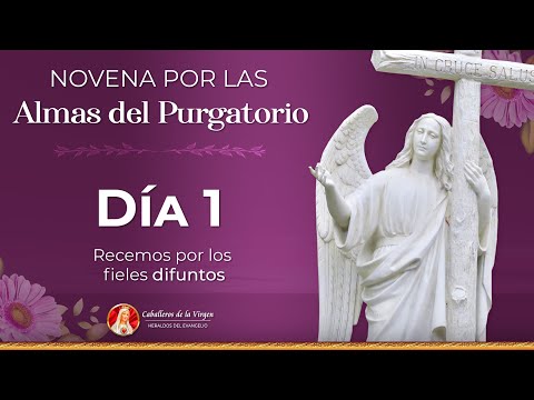 Novena por las Almas del Purgatorio  Día 1  | Padre Ricardo del Campo #novena #oracion