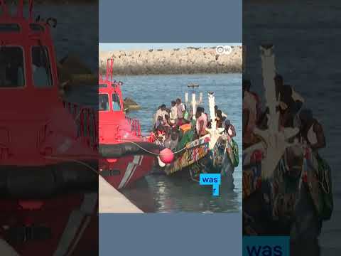 7 dead after boat transporting migrants flips over in the Canary Islands