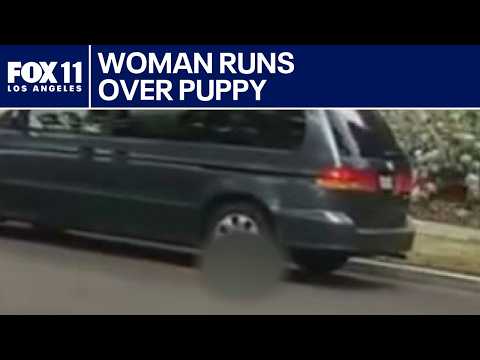 Woman caught on video running over puppy