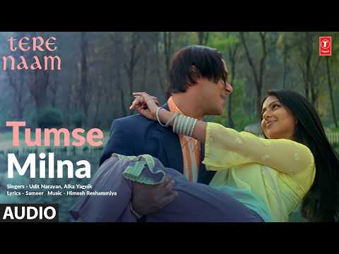 Tumse Milna (Full Audio) | Tere Naam | Salman Khan | Bhoomika | Udit Narayan, Alka Yagnik | Himesh