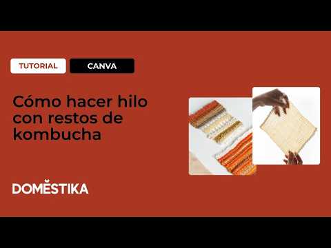 Tutorial: Cómo hacer hilo con restos de kombucha | Celulosa bacteriana paso a paso