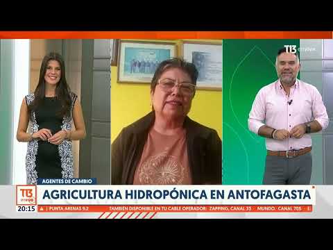 Agentes de Cambio: La agricultora hidropónica de Antofagasta