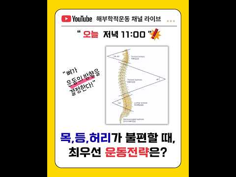 목 등 허리가 불편할 때, <strong>최우선</strong> 운동 전략과 방향은??