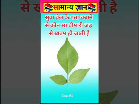 सुबह खाली पेट खाने से #viral #facts #videos