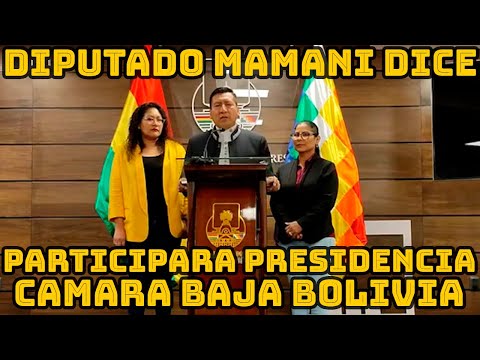 DIPUTADO MAMANI DICE QUE SI VA PARTICIPAR PRESIDENCIA CAMARA  DE DIPUTADOS..