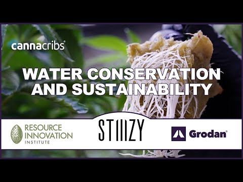 Stiiizy, Grodan, and Resource Innovation Institute Discuss Sustainability in the Cannabis Space