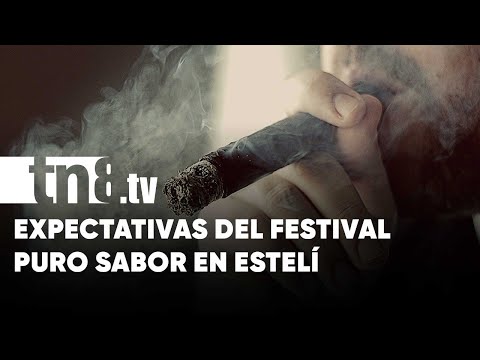 Estudio TN8 - Entrevista Central:  Estelí celebra el Festival Internacional del Tabaco Puro Sabor