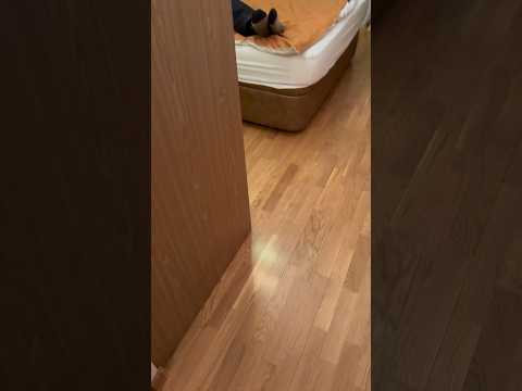 Коли ти чоловік і голова сімʼї !
