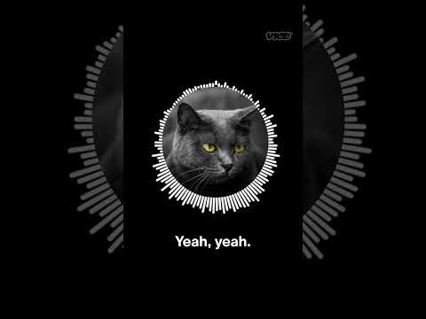 Did rapper Sneakbo turn into a cat after being chased into a McDonald's by gang members in London?
