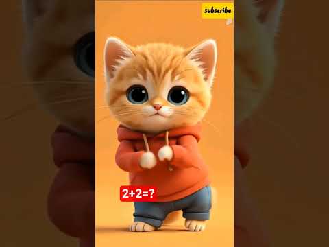 Best Cat Dance Ever 💥😺 #usacats #catdancing #funny #trending