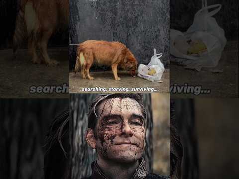 Dog sad moment 😢💔 (Surviving) #shortsfeed #shortvideo #shorts #short #sad #dog