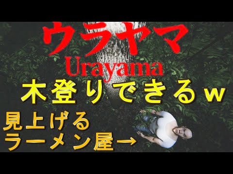 木登りして裏世界行ける【ウラヤマ】