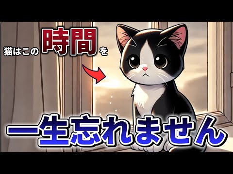 猫が一生忘れられない寂しい時間とその気持ちを理解するためのヒント サムネイル