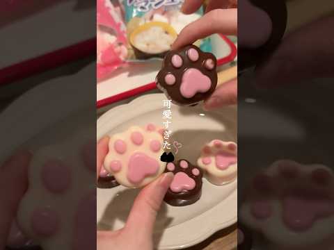 【 猫好きへ贈る 】話題のチョコマシュマロ🐾