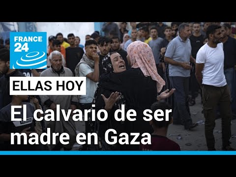 Ser madre en Gaza: el calvario de cuidar en medio de la violencia y el hambre • FRANCE 24 Español