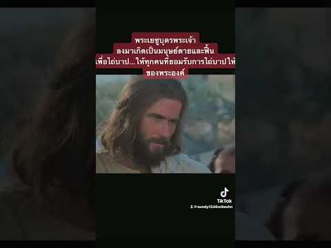 รับบาปรับโทษแทนคุณ