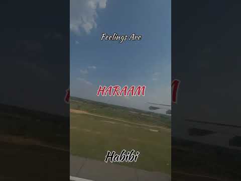 Life Motto…....#feeling #haraam #flight #catch #islam #muslim #halal #ummah