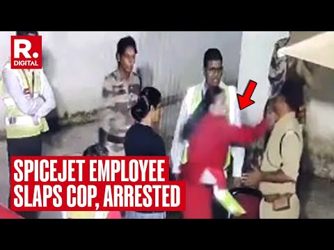 SpiceJet Staffer Arrested for Slapping CISF Man at Airport, Airline Alleges Sexual Harassment