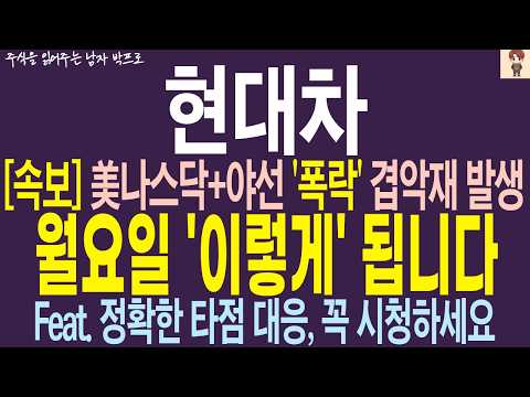 [현대차 주가전망] 美나스닥+야선 '폭락'.. 겹악재 발생 .. 월요일 '이렇게' 됩니다 ! 정확한 타점 대응, 꼭 시청하세요 !