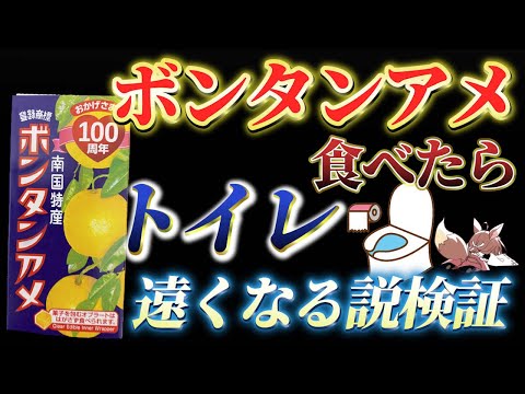 【検証】「ボンタンアメ」食べたらトイレが遠くなるのか実際にやってみた【 にじさんじフミ 】