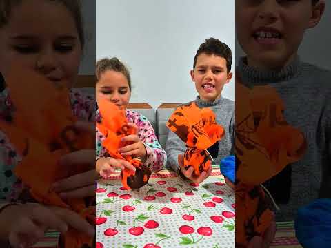 PETECA DIVERTIDA!#shorts