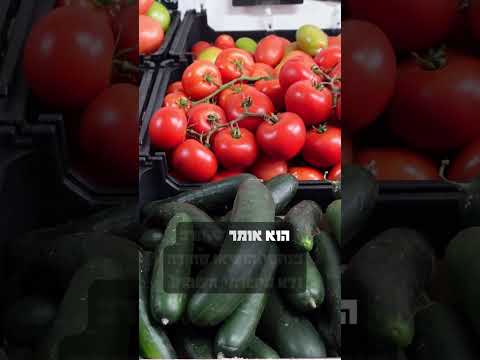 הפרשת תרומות ומעשרות #הרב_אליהו_חיים_פנחסי#כשרות#מעשרות#פירות_וירקות#תיקון#תורה#יזדים#יהדות