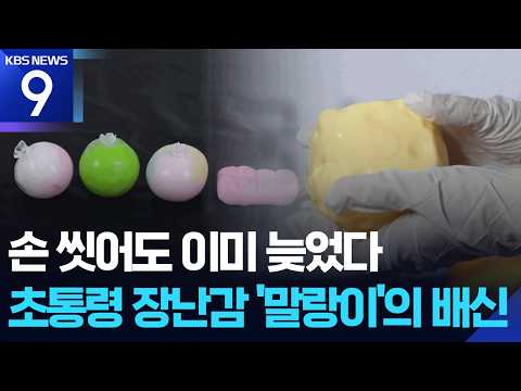 말랑이·왁뿌볼 일부 제품서 유해 물질…전자레인지 ‘금물’ [9시 뉴스] / KBS  2026.09.23.