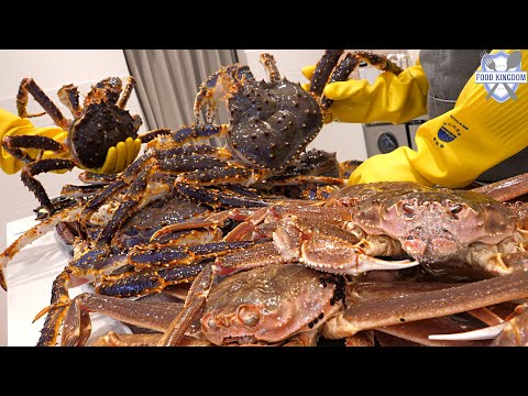 달랑 2명으로 월매출 1억! 오픈 1년만에 대박난 크랩(대게,랍스터,킹크랩) 테이크아웃 전문점 / Interesting crab takeout restaurant