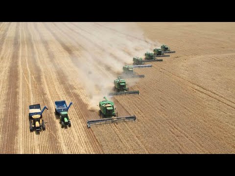 Government launches taskforce to tackle fertiliser crisis