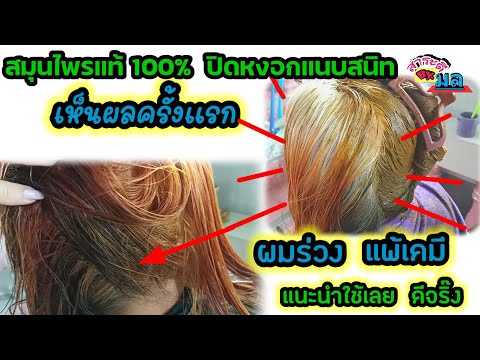 หมดปัญหาผมหงอกก่อนวัย-กลับดำสน หมดปัญหาผมหงอกก่อนวัย-กลับดำสน