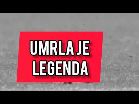 Umrla je LEGENDA! Upravo javljeno!