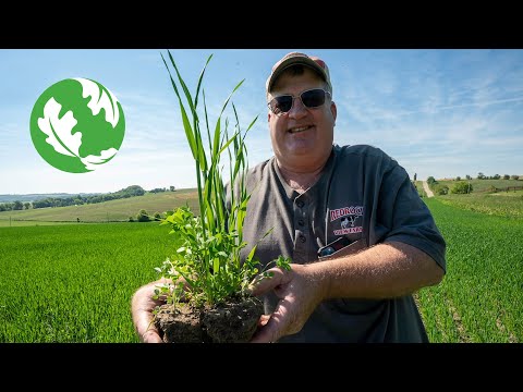 Wisconsin Farmer Profiles: Steve Carpenter