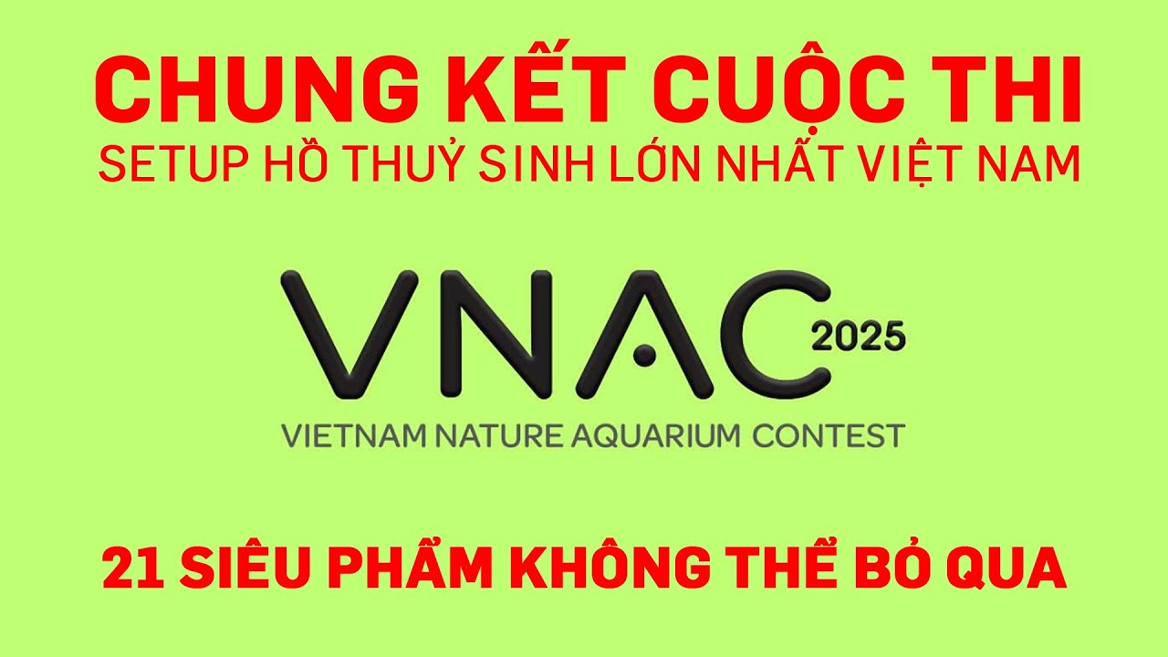 - Xin chào các bạn!
Video này các bạn cùng mình đi tham dự sự kiện cuộc thi setup hồ thuỷ sinh lớn nhất Việt Nam - VNAC 2025, cùng xem những tác phẩm tuyệt đẹp của các thí sinh dự thi năm nay nha.
Mời các bạn cùng xem nha.- Các bạn nào có nhu cầu setup hồ thủy sinh hoặc mua phụ kiện thì liên hệ mình qua các kênh sau:
+ Website: https://www.thuysinhquoidecor.com
+ Shopee: Https://s.shopee.vn/1g43iCFuZk
+ Fanpage: https://www.facebook.com/thuysinhquoidecor
+ Zalo: 0972999694- Setup hồ thuỷ sinh trọn gói
- Cung cấp phụ kiện thuỷ sinh các loại, giao hàng toàn QuốcCảm ơn các bạn đã xem video!
Nhớ bấm LIKE, và ĐĂNG KÝ kênh để theo dõi những video tiếp theo nha.
#hothuysinh #bethuysinh #vnac2025