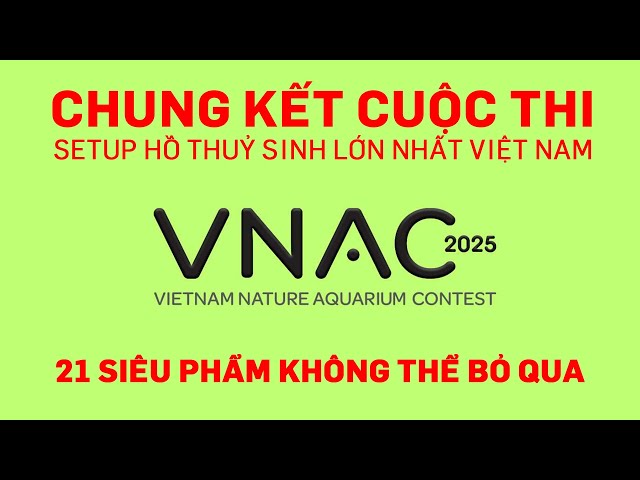 - Xin chào các bạn!
Video này các bạn cùng mình đi tham dự sự kiện cuộc thi setup hồ thuỷ sinh lớn nhất Việt Nam - VNAC 2025, cùng xem những tác phẩm tuyệt đẹp của các thí sinh dự thi năm nay nha.
Mời các bạn cùng xem nha.- Các bạn nào có nhu cầu setup hồ thủy sinh hoặc mua phụ kiện thì liên hệ mình qua các kênh sau:
+ Website: https://www.thuysinhquoidecor.com
+ Shopee: Https://s.shopee.vn/1g43iCFuZk
+ Fanpage: https://www.facebook.com/thuysinhquoidecor
+ Zalo: 0972999694- Setup hồ thuỷ sinh trọn gói
- Cung cấp phụ kiện thuỷ sinh các loại, giao hàng toàn QuốcCảm ơn các bạn đã xem video!
Nhớ bấm LIKE, và ĐĂNG KÝ kênh để theo dõi những video tiếp theo nha.
#hothuysinh #bethuysinh #vnac2025