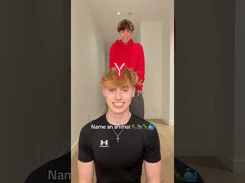 <strong>Name</strong> an animal challenge <strong>with</strong> my boyfriend #couple #challenge #lgbt #shorts