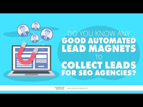 Do You Know Any Good Automated Lead Magnets To Collect Leads For SEO Agencies?