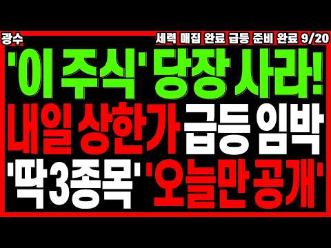 급등 대장주 주가전망) '이 주식' 상한가 급등 임박 '딱 3종목' '오늘만 공개' | 급등주 관련주 주도주 주식전망 디에스경제타임즈 광수