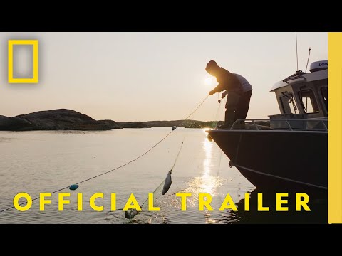 Tasiujarjuaq & Weeneebeg: Bays of Life | Official Trailer | National Geographic Documentary Films