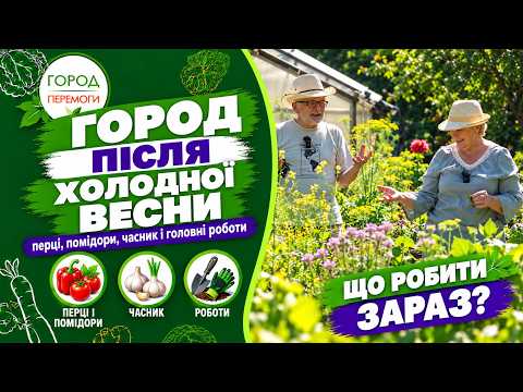 Город після холодної весни: перці, помідори, часник і головні роботи | 6 Соток