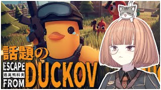 🔵12/8【 #EscapeFromDuckov 】農場町をトコトコ🦆歩き回ってクエスト進める！【 maŸUko / #Vtuber 】
