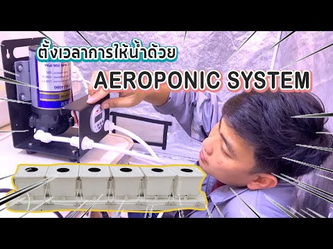 ชุดเพาะปลูกAeroponicsystem